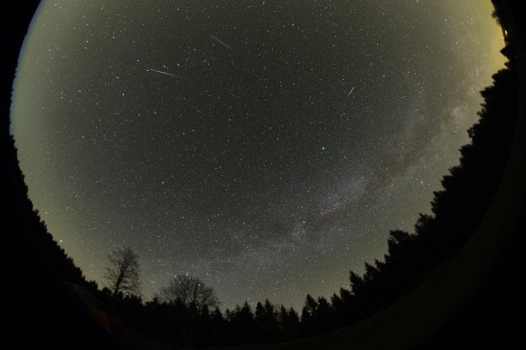 Tři meteory roje Lyridy se zachytily na širokoúhlém záběru celé oblohy 22. dubna 2020. Složeno ze tří samostatných fotografií. Stopy se sbíhají zdánlivě k jasné hvězdě Vega v souhvězdí Lyry. Autor: Martin Gembec