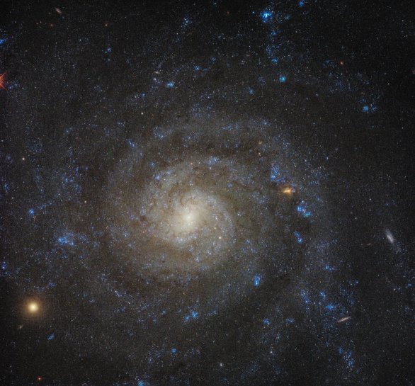 Spirální galaxie v souhvězdí Sochaře IC 5332 na snímku HST Autor: NASA/ESA/STScI