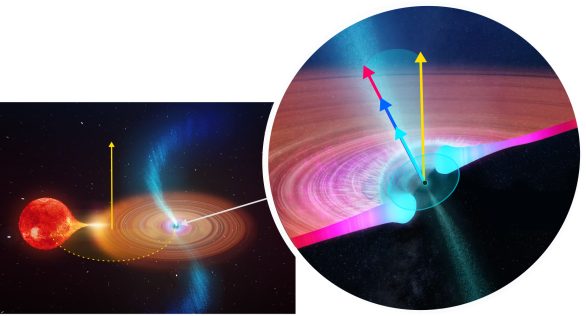 Výzkum Zuzany Turoňové je zaměřen na rozdíl směrů orientace osy rotace černé díry (tmavě modrá šipka) a rotační osy binárního systému (žlutá šipka), jehož jednou složkou je černá díra a druhou méně hmotná hvězda. Autor: Slezská univerzita v Opavě