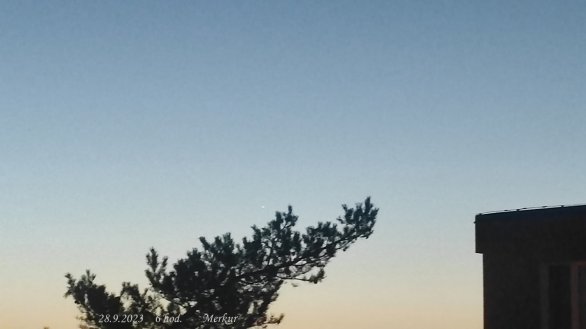 Merkur na ranní obloze (nízko nad větvemi stromu) Autor: Jiří Šíp