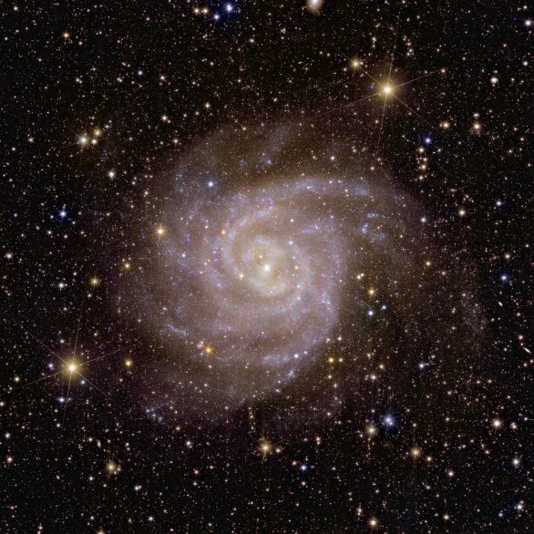 Fotografie spirální galaxie IC 342 pořízená teleskopem Euclid Autor: ESA/Euclid/Euclid Consortium/NASA, image processing by J.-C. Cuillandre (CEA Paris-Saclay), G. Ansel
