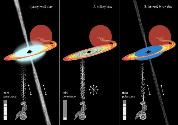 Obrázek ukazuje družici NASA Imaging X-ray Polarimetry Explorer (IXPE) vlevo dole, jak z dálky pozoruje nově objevený binární systém Swift J1727.8-1613. Uprostřed je černá díra obklopená akrečním diskem, znázorněným žlutě a oranžově, a horká, posouvající se koróna, znázorněná modře. Černá díra odsává plyn z doprovodné hvězdy, která je za černou dírou vidět jako červená koule. Výtrysky rychle se pohybujících přehřátých částic proudí z obou pólů černé díry. Autor: Jiří Svoboda, Jakub Podgorný / Astronomický ústav AV