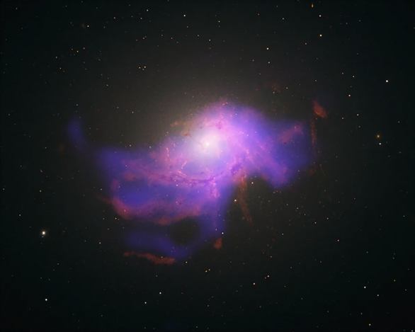 Kopa galaxií v Kentaurovi. Biela a hnedá farba značí optickú časť EM spektra a H-α emisiu, fialová röntgenovú emisiu. Autor: NASA/CXC/SAO/ESA/STScI/ESO/VLT/MUSE;V. Olivaresi et al.; Processing: N. Wolk