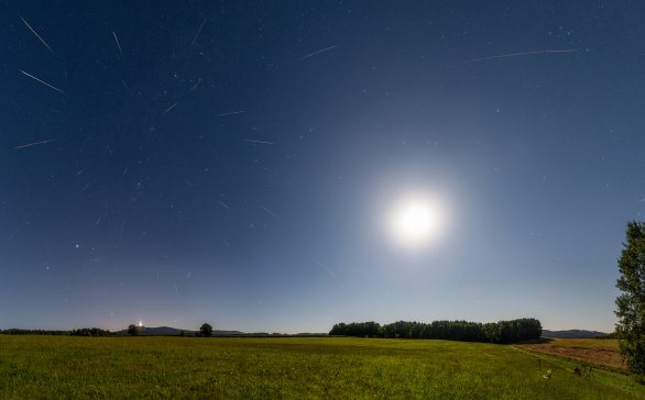 Perseidy 2025, kompozitní panorama s pečlivě zregistrovanými snímky všech meteorů na hvězdy tak, jak skutečně padly během nocí od 10. do 14. 8. 2025 Autor: Jakub Kuřák