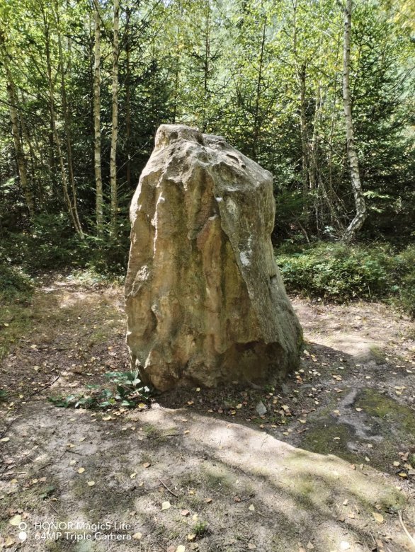 Menhir Mylady představuje vznešenou dámu. Menhiry byly novodobě nazývány podle toho, čemu se podobají. Autor: Soukromý archiv Radima Neuvirta, autora článku