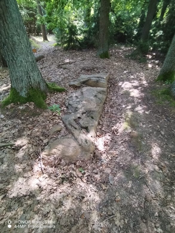 Po menhiru zvaném Chodník se dá skutečně přejít Autor: Soukromý archiv Radima Neuvirta, autora článku