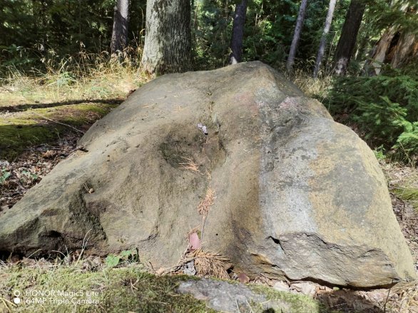 Menhir Vizír. Tento kámen byl možná – pořád se pohybujeme ve světě domněnek – jakýmsi hledáčkem pro pozorování Slunce. V prohlubni vysekané v kameni mohl být pozorován východ Slunce při zimním slunovratu. Autor: Soukromý archiv Radima Neuvirta, autora článku