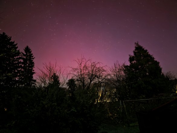 Polární záře 12. 11. 2025 ze Sloupnice kolem 5:10 SEČ mobilním telefonem Autor: Jakub Veselý Polární záře 12. 11. 2025 ze Sloupnice kolem 5:10 SEČ mobilním telefonem Autor: Jakub Veselý