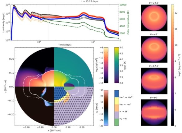 Časový vývoj fyzikálních veličin popisujících svítivou červenou novu na základě výsledků zářivě-hydrodynamické simulace. Animaci tohoto vývoje si prohlédněte v článku v odkazech dole. Horní panel zde ukazuje efektivní teplotu záření (zelené čáry) a celkovou svítivost objektu, jak by se jevila z různých směrů (zbývající čáry). Dolní panel ukazuje časový vývoj hustoty, teploty plynu, tečné rychlosti, a chemického složení. Pravý panel znázorňuje prostorově rozlišený světelný tok objektu z různých směrů pozorování. Autor: Kirilov et al. (2025)