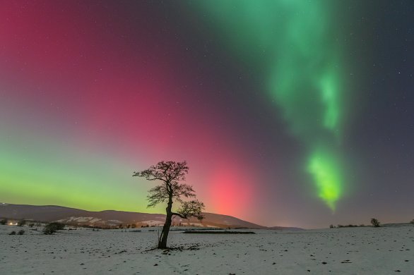 Polární záře 19. 1. 2026 Autor: Lubomír Sklenár Polární záře 19. 1. 2026 Autor: Lubomír Sklenár