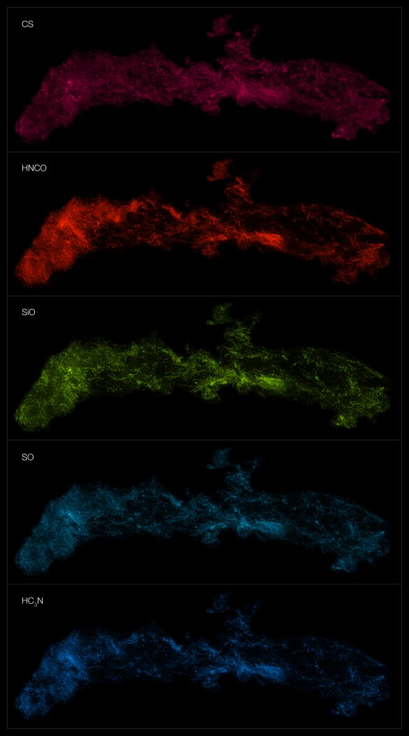 Tato montáž ukazuje rozložení různých molekul v centrální molekulární zóně (CMZ) Mléčné dráhy. Pozorování byla provedena pomocí observatoře ALMA (Atacama Large Millimeter/submillimeter Array) v rámci průzkumu ACES (ALMA CMZ Exploration Survey).

ACES zmapoval rozložení několika desítek molekul v centru naší galaxie. Zde ukazujeme pět z nich, shora dolů: monosulfid uhlíku, kyselina isokyanová, oxid křemíku, oxid síry a cyanoacetylen. Autor: ALMA(ESO/NAOJ/NRAO)/S. Longmore et al.