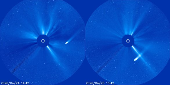 Kometa C/2025 R3 (PanSTARRS) 24. a 25. dubna 2026 v koronografu SOHO LASCO C3 Autor: NASA/ESA/SOHO
