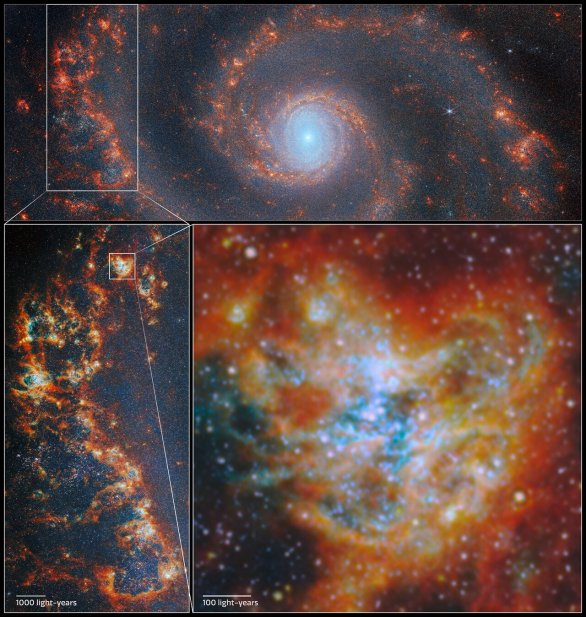 M51 v různě detailním pohledu na hvězdotvorné oblasti (JWST/NIRCam) Autor: ESA/Webb, NASA & CSA, A. Pedrini, A. Adamo (Stockholm University) and the FEAST JWST team