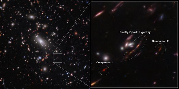 Na snímku v blízkém infračerveném oboru kamerou NIRCam vesmírného dalekohledu JWST vidíme obří galaktickou kupu MACS J1423, která dělá tzv. gravitační čočku a přibližuje nám tak mnohem vzdálenější galaxie. Mezi nimi vidíme deformovaný obraz zvláštní galaxie s mnoha barevnými shluky a její dva průvodce. Dostala příznačný název Firefly Sparkle Galaxy (připomíná světlušky ve tmě). Autor: NASA, ESA, CSA, STScI, C. Willott (NRC-Canada), L. Mowla (Wellesley College), K. Iyer (Columbia) Na snímku v blízkém infračerveném oboru kamerou NIRCam vesmírného dalekohledu JWST vidíme obří galaktickou kupu MACS J1423, která dělá tzv. gravitační čočku a přibližuje nám tak mnohem vzdálenější galaxie. Mezi nimi vidíme deformovaný obraz zvláštní galaxie s mnoha barevnými shluky a její dva průvodce. Dostala příznačný název Firefly Sparkle Galaxy (připomíná světlušky ve tmě). Autor: NASA, ESA, CSA, STScI, C. Willott (NRC-Canada), L. Mowla (Wellesley College), K. Iyer (Columbia)