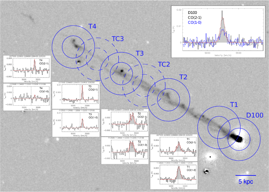 Na pozaďovém snímku ohonu D100 z dalekohledu Subaru jsou vyznačeny kružnicemi pozorovací body, v nichž byly vyhodnocovány slupcové hustoty oxidu uhelnatého. V jednotlivých panelech jsou pak zobrazena spektra dvou pásů CO pro čtyři hlavní pozorovací body, zcela nahoře pak totéž pro těleso galaxie. Autor: Pavel Jáchym